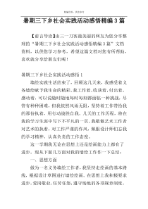 暑期三下乡社会实践活动感悟精编3篇