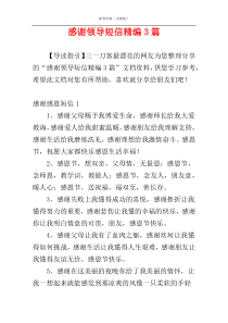 感谢领导短信精编3篇