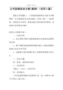 公司促销活动方案(案例)（实用3篇）