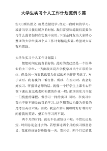 大学生实习个人工作计划范例5篇