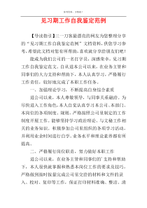 见习期工作自我鉴定范例