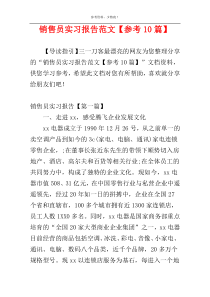 销售员实习报告范文【参考10篇】