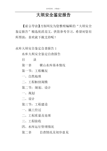 大坝安全鉴定报告