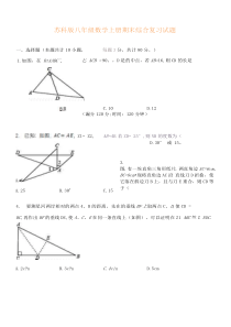 苏科版八年级数学上册期末综合复习试题有答案