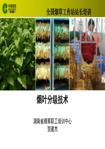 全国站长培训(许昌)