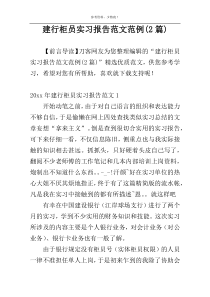 建行柜员实习报告范文范例(2篇)