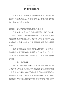 招商实践报告