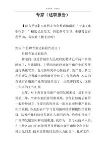 专家（述职报告）