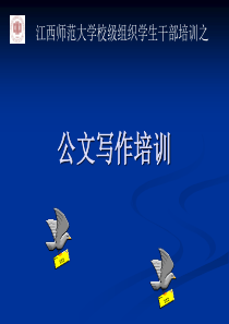公文培训主