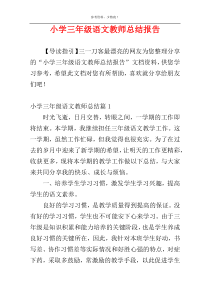 小学三年级语文教师总结报告