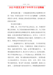 2022年度党支部下半年学习计划精编
