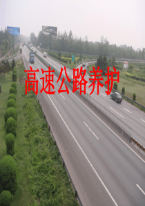养护培训