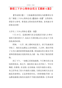 暑假三下乡心得体会范文【最新4篇】
