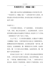 冬雨的作文（精编5篇）