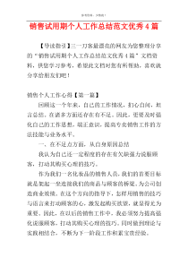 销售试用期个人工作总结范文优秀4篇