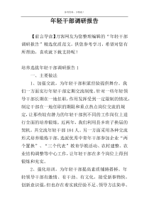 年轻干部调研报告