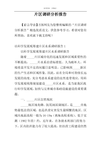 片区调研分析报告