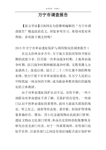 万宁市调查报告