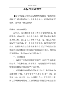 县保密自查报告