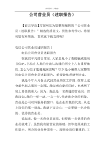 公司营业员（述职报告）