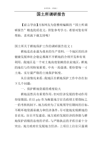 国土所调研报告