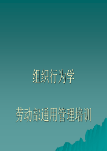 劳动部通用管理培训组织行为学
