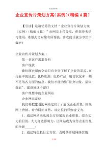 企业宣传片策划方案（实例）（精编4篇）