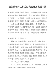 业务员年终工作总结范文通用范例5篇