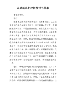 足球场乱扔垃圾检讨书荟萃
