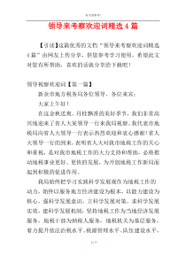 领导来考察欢迎词精选4篇