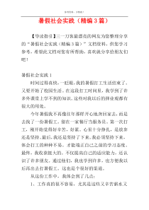 暑假社会实践（精编3篇）