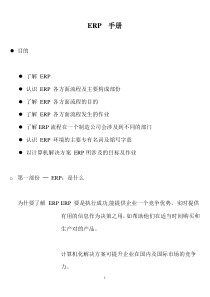 ERP  手册