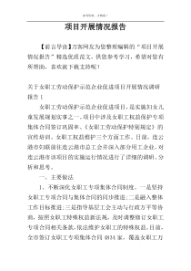 项目开展情况报告