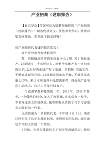 产业招商（述职报告）