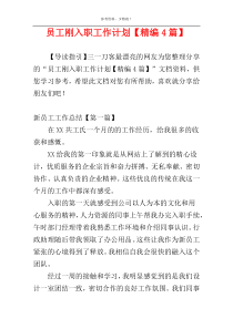 员工刚入职工作计划【精编4篇】