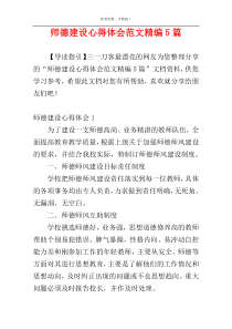 师德建设心得体会范文精编5篇