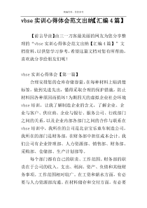 vbse实训心得体会范文出纳【汇编4篇】
