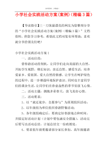 小学社会实践活动方案(案例)（精编3篇）