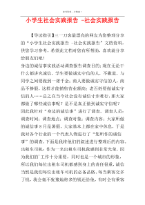 小学生社会实践报告 -社会实践报告