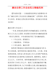 廉洁自律工作总结范文精编范例