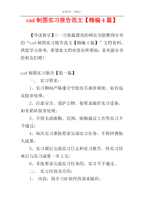 cad制图实习报告范文【精编4篇】