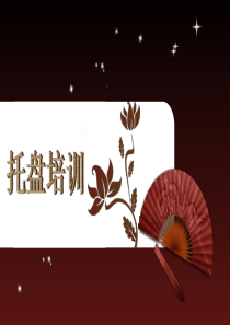 国家职业资格培训教程__1托盘培训