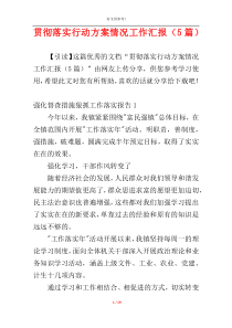 贯彻落实行动方案情况工作汇报（5篇）