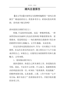 清风自查报告