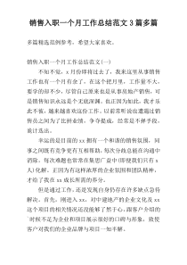 销售入职一个月工作总结范文3篇多篇