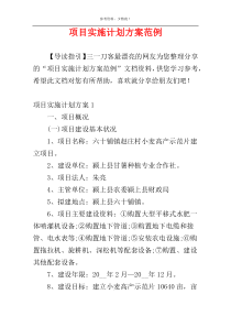 项目实施计划方案范例