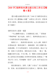[600字]别样的风景记叙文初三作文【精编4篇】