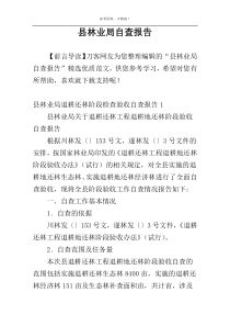 县林业局自查报告
