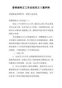 营销部转正工作总结范文3篇样例