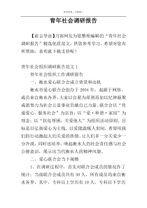 青年社会调研报告